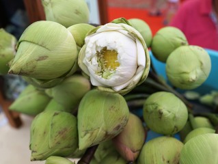 菠菜网最新平台网官方版免费版官方版下载-菠菜网最新平台网官方版_最新版下载v.7.53.90-安卓版