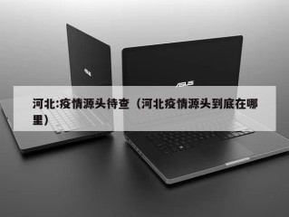 河北:疫情源头待查（河北疫情源头到底在哪里）