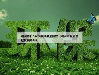 讷河昨日5人核酸结果呈阳性（讷河市有新型冠状病毒吗）