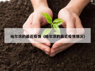 哈尔滨的最近疫情（哈尔滨的最近疫情情况）