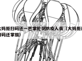 大妈拒扫码还一巴掌抡倒防疫人员（大妈拒绝扫码还掌掴）