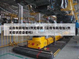云南有新增加1例无症状（云南有新增加1例无症状感染者吗）