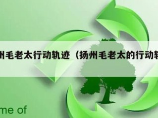 扬州毛老太行动轨迹（扬州毛老太的行动轨迹）