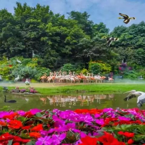 JDB飞鸟派对电／子娱乐㊙️：✅JDB飞鸟派对电／子娱乐 V8.9.12✅✅✅㊙️